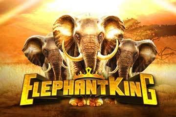 Elephant King 1xbet
